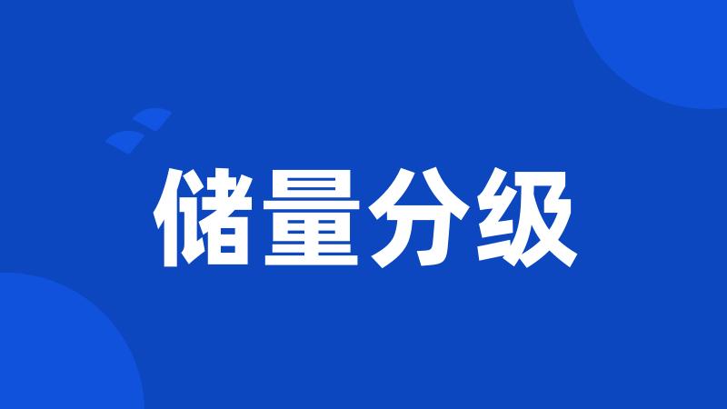 储量分级