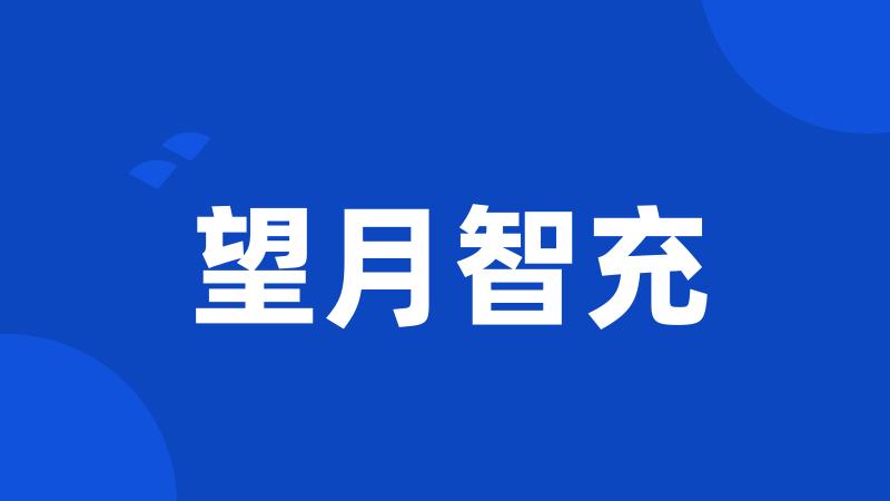 望月智充