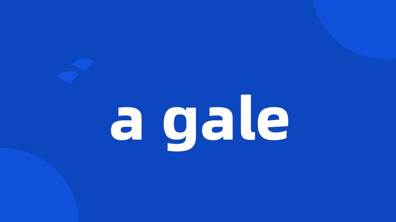 a gale