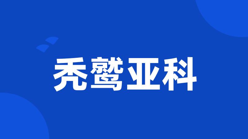 秃鹫亚科