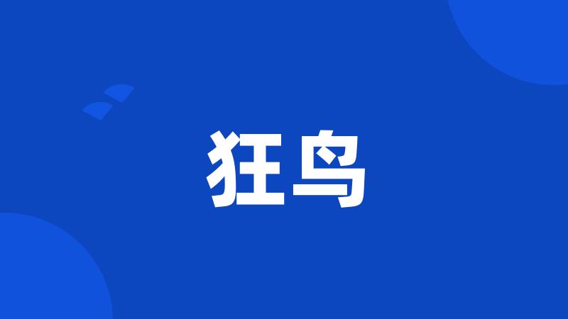 狂鸟