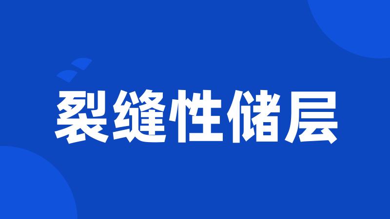 裂缝性储层