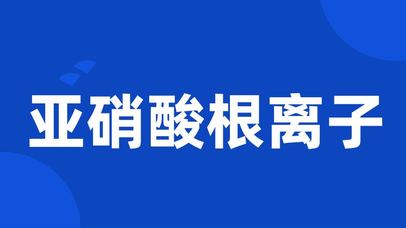 亚硝酸根离子