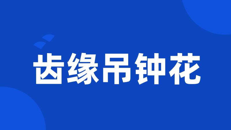 齿缘吊钟花