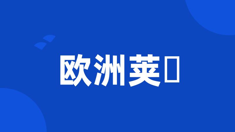 欧洲荚蒾