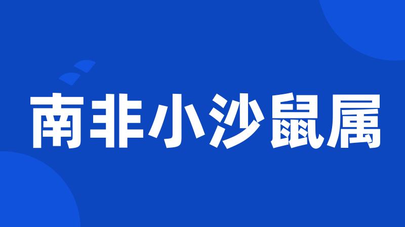 南非小沙鼠属