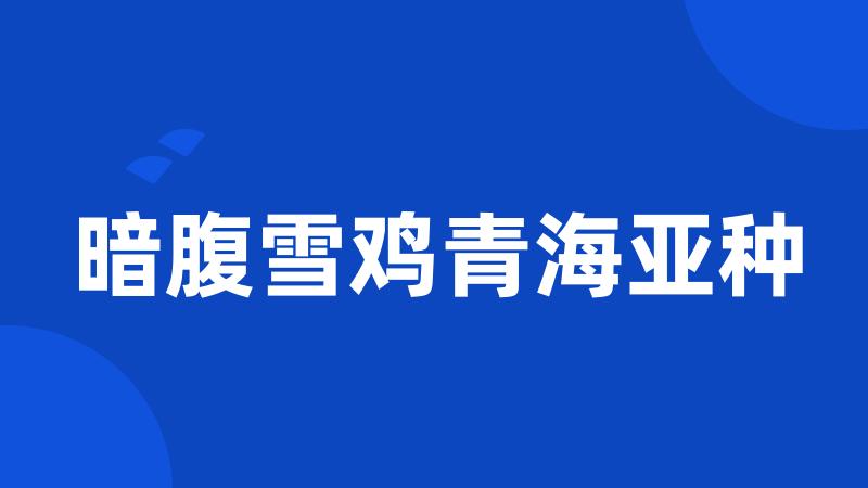 暗腹雪鸡青海亚种