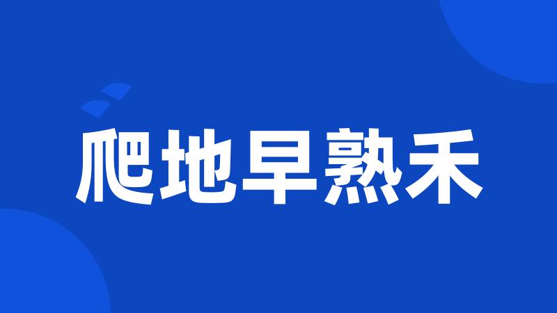 爬地早熟禾