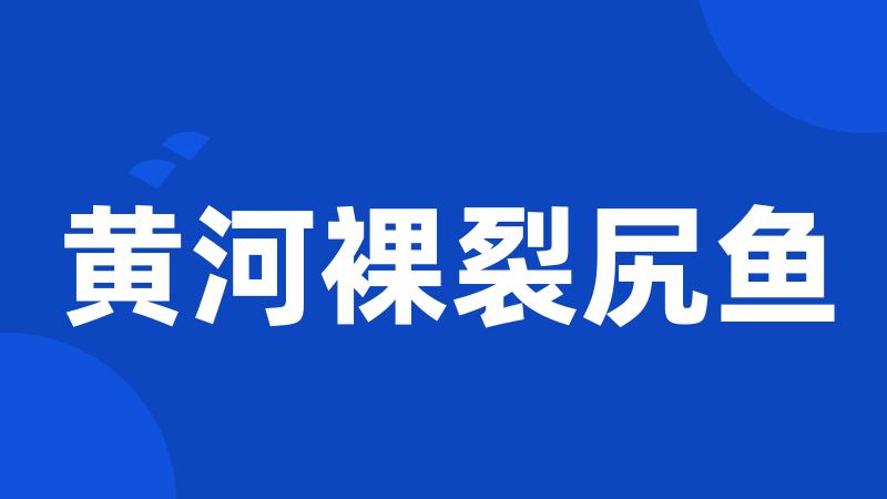 黄河裸裂尻鱼