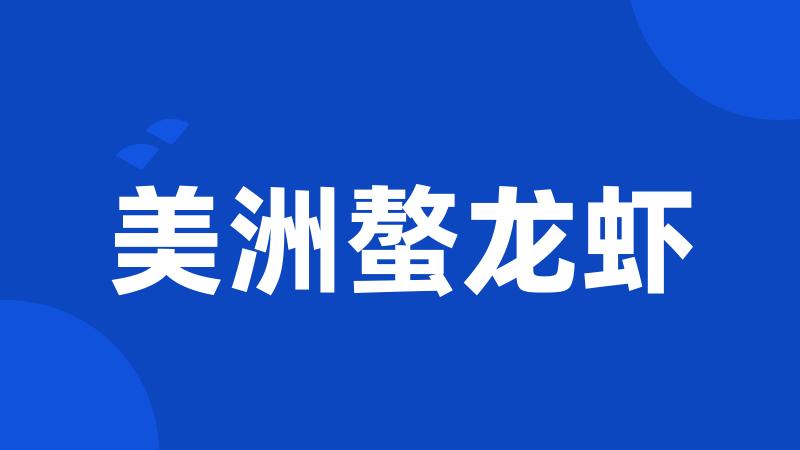美洲螯龙虾
