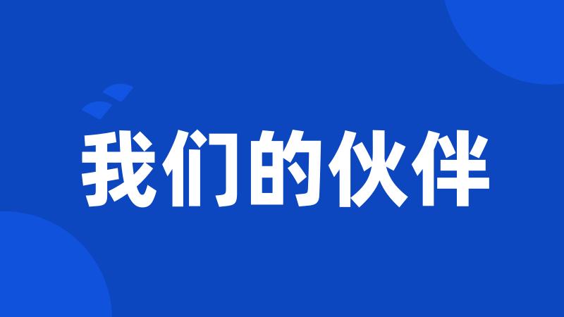 我们的伙伴