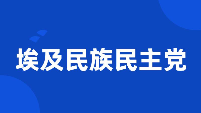 埃及民族民主党