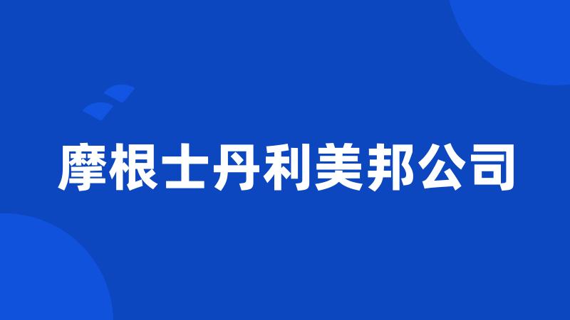摩根士丹利美邦公司