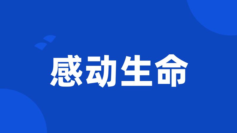 感动生命