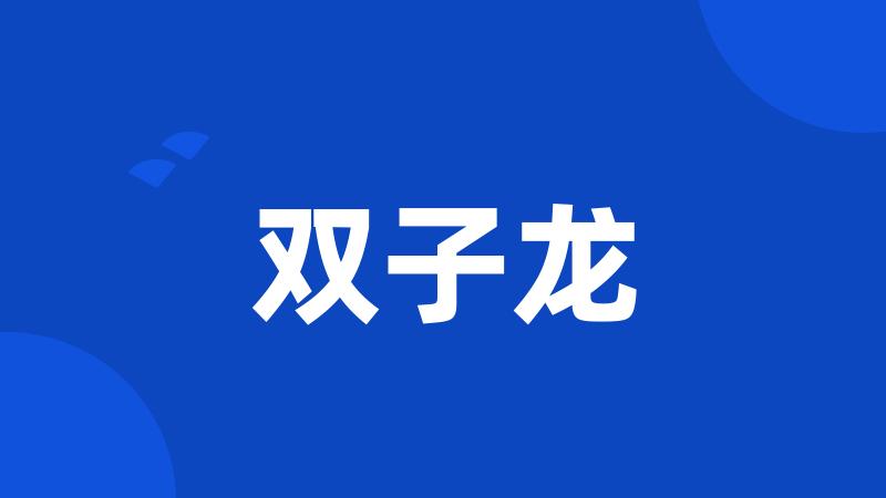 双子龙