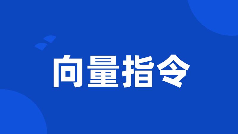 向量指令