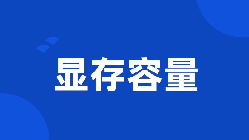 显存容量