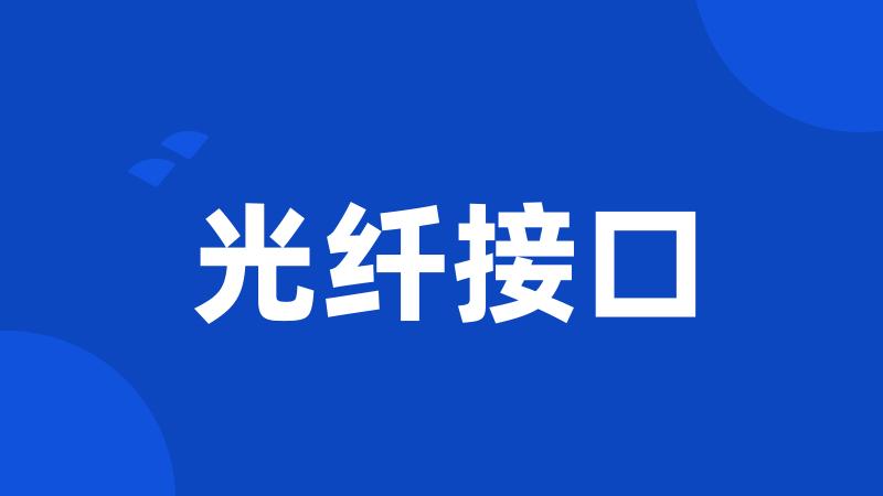 光纤接口