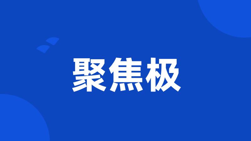 聚焦极
