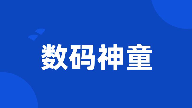 数码神童