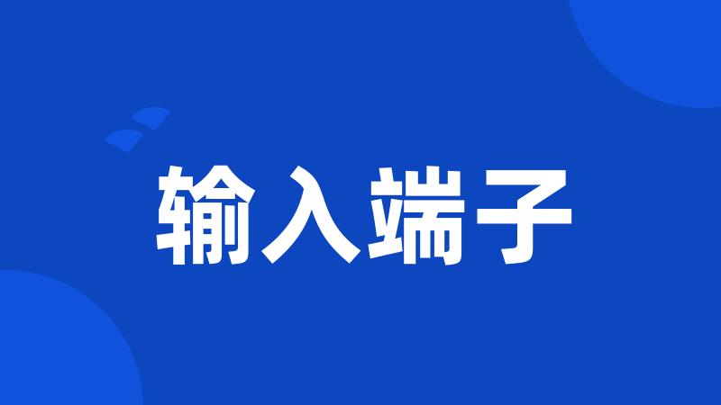 输入端子