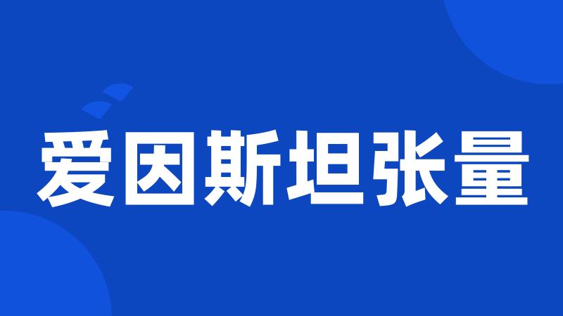 爱因斯坦张量