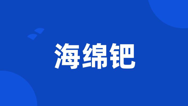 海绵钯