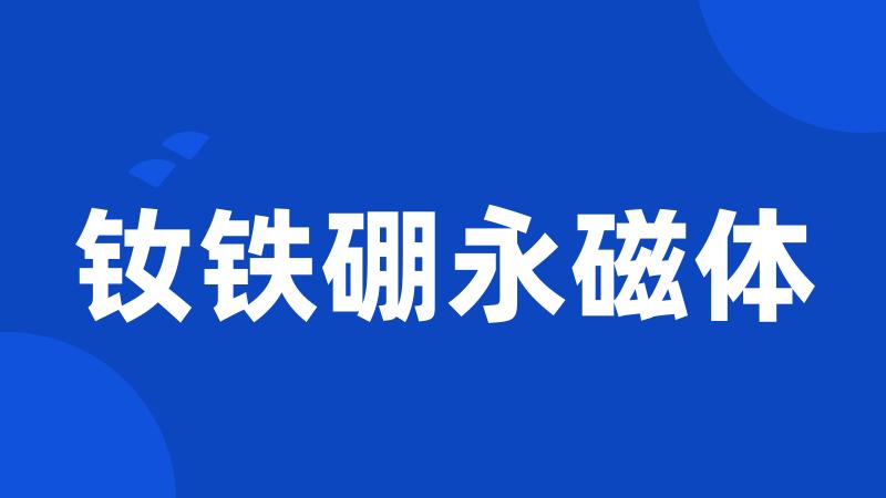 钕铁硼永磁体