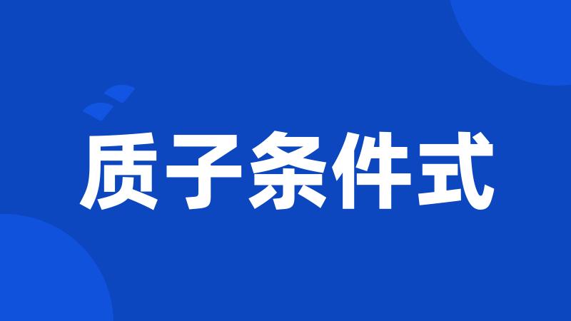 质子条件式