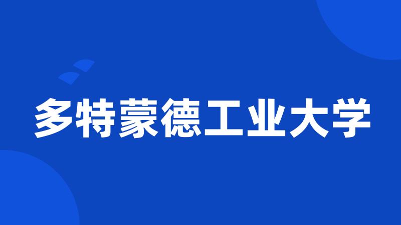 多特蒙德工业大学