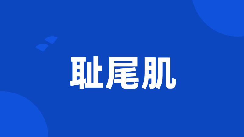 耻尾肌