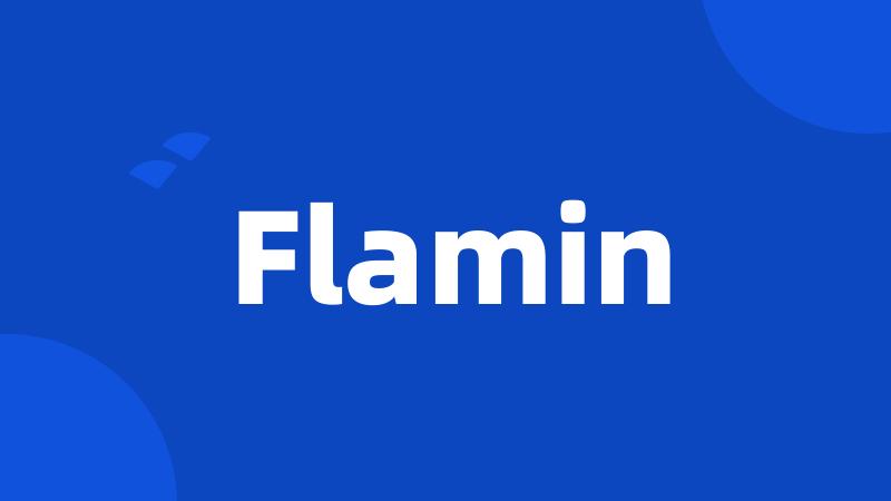 Flamin