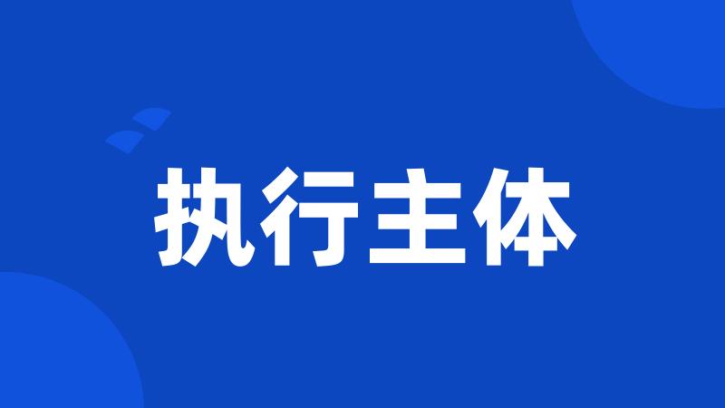 执行主体