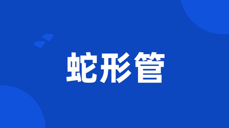 蛇形管