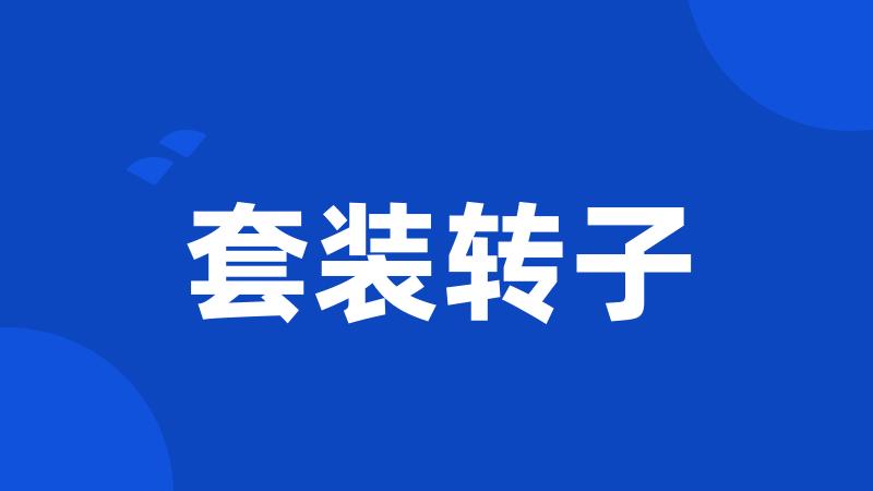 套装转子