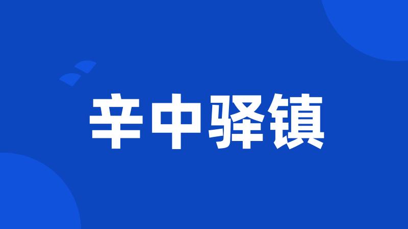 辛中驿镇
