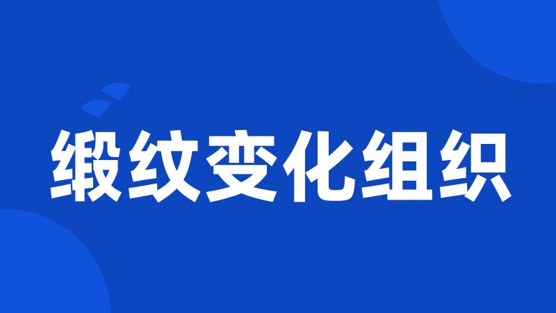 缎纹变化组织