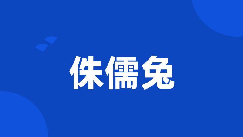 侏儒兔