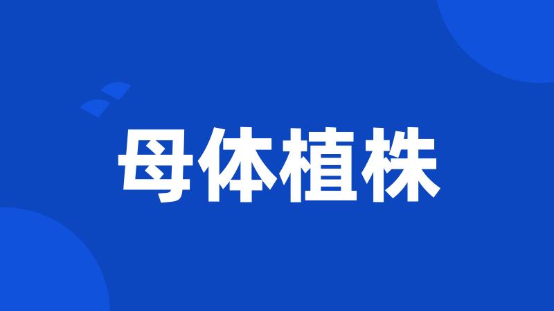母体植株