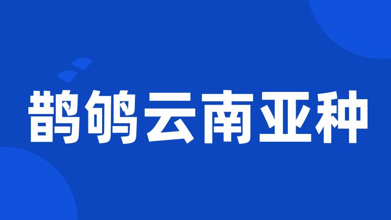鹊鸲云南亚种