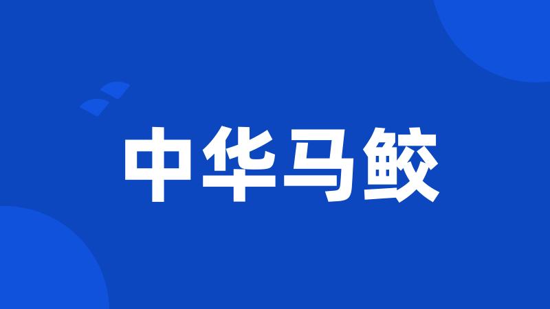 中华马鲛