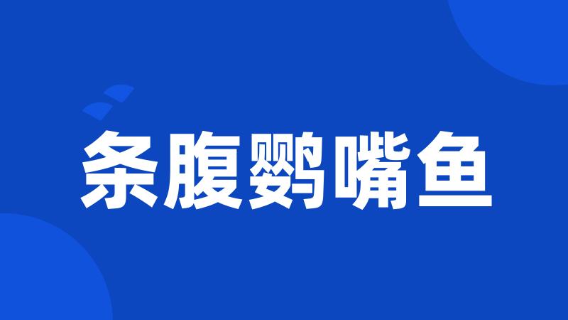 条腹鹦嘴鱼