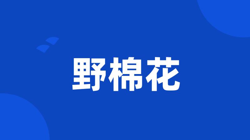 野棉花