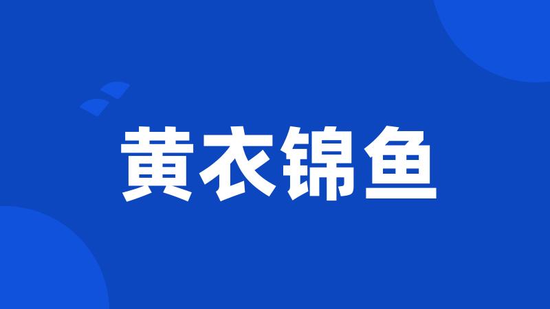 黄衣锦鱼