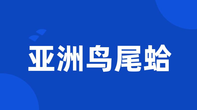 亚洲鸟尾蛤