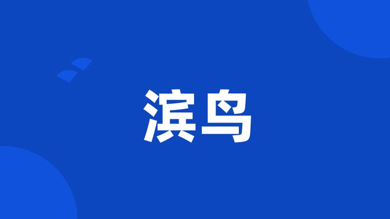 滨鸟