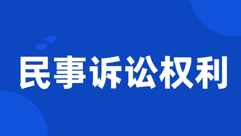 民事诉讼权利