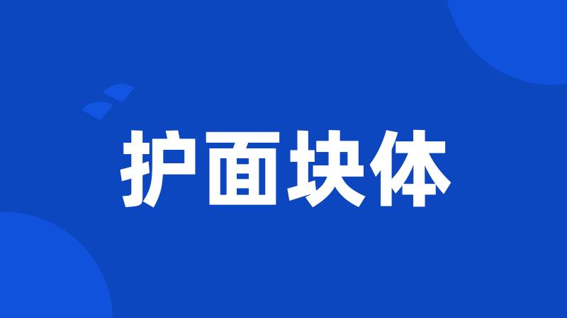 护面块体