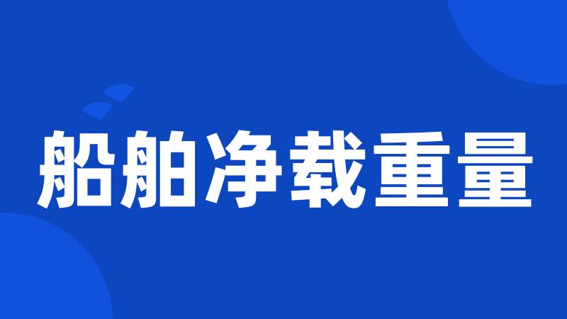 船舶净载重量