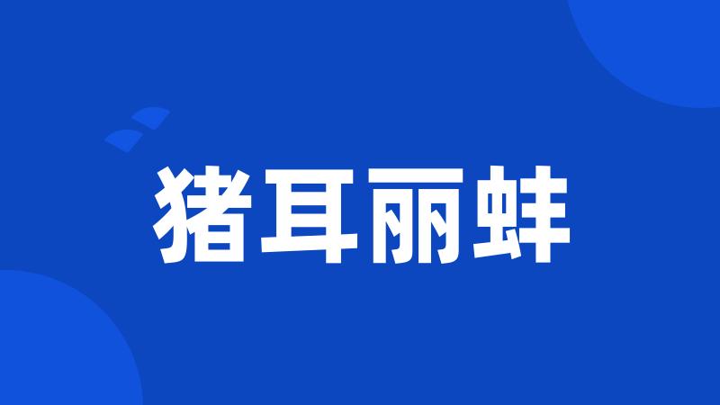 猪耳丽蚌